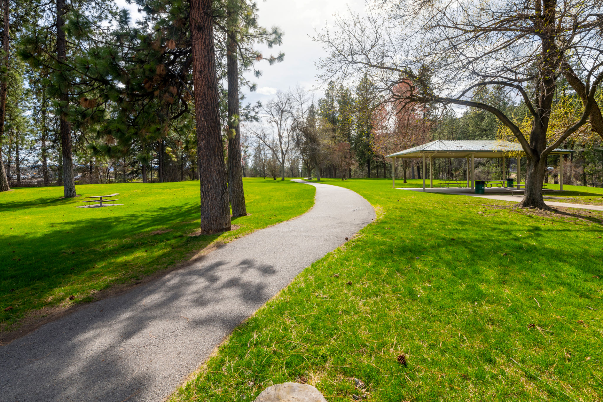 spokane dog park