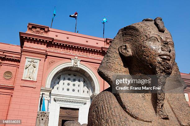 egyptian museum. - cairo stock pictures, royalty-free photos & images