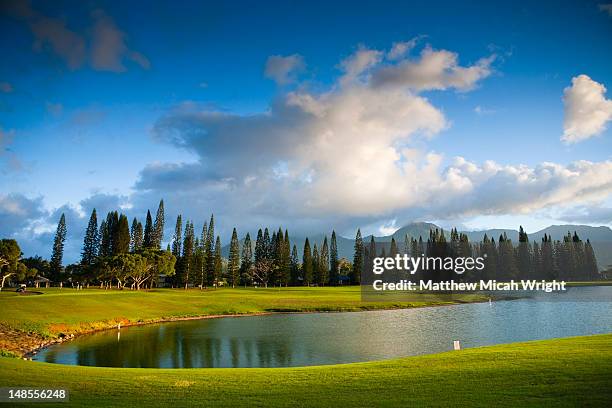 makai golf course in princeville. - princeville stock pictures, royalty-free photos & images
