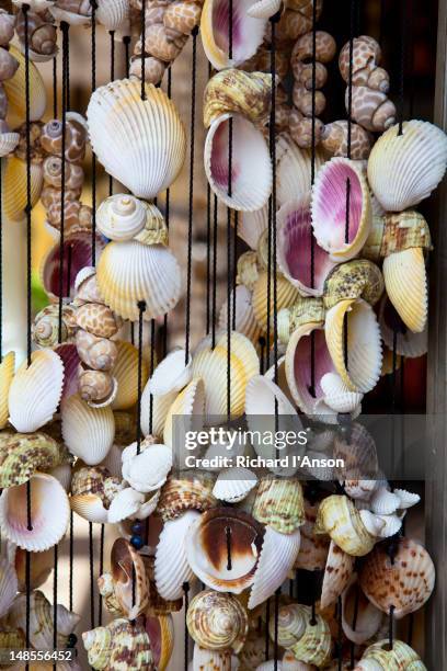 shell souvenirs for sale displayed outside shop in chinatown. - pantai kok stock pictures, royalty-free photos & images