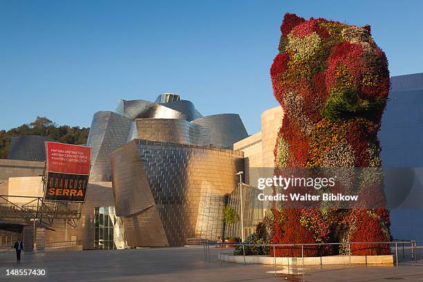the guggenheim museum and puppy, topiary dog by jeff koons. - jeff koons and guggenheim museum bilbao stock pictures, royalty-free photos & images