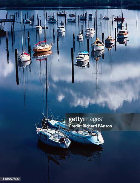 boats and yachts moored on the tamar river. - launceston australien stock-fotos und bilder