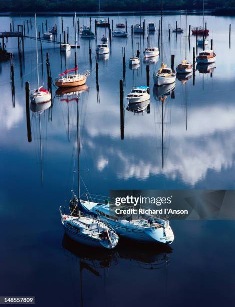 boats and yachts moored on the tamar river. - launceston stock pictures, royalty-free photos & images