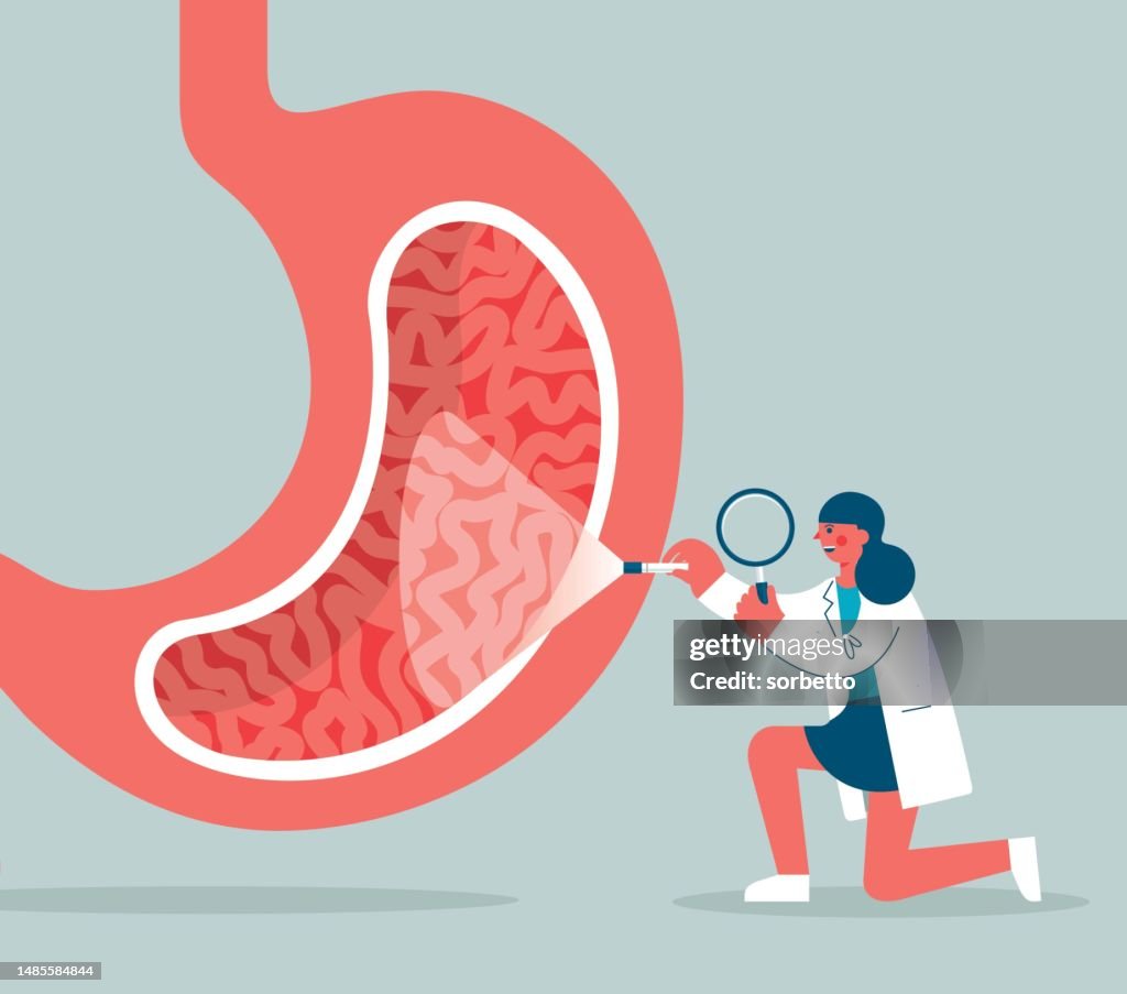 Human stomach - Magnifying Glass