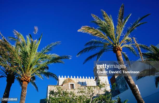 church atop the citadel, framed by palms, peniscola, valencia - castellón fotografías e imágenes de stock