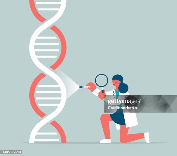 dna - magnifying glass - genetic code stock illustrations