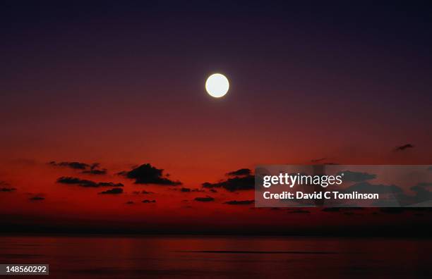 a full moon rises high in a red sky over the mediterranean sea, alcudia, mallorca - alcudia stock pictures, royalty-free photos & images