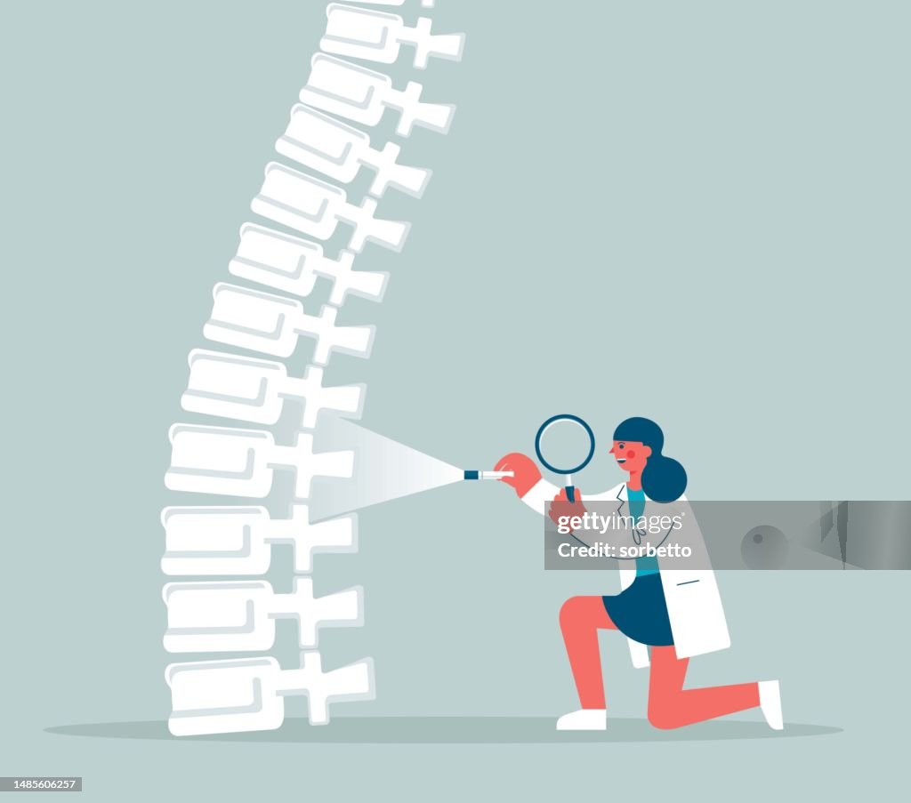 Human Spine