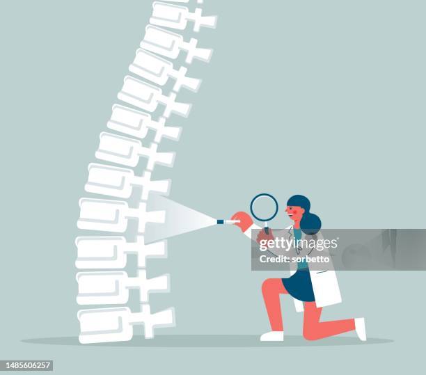 human spine - spine stock illustrations