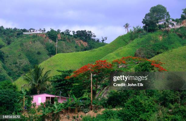 Puerto Rico Ranch 419 Puerto Rico Rural Stock Photos, High-Res Pictures, and Images ...