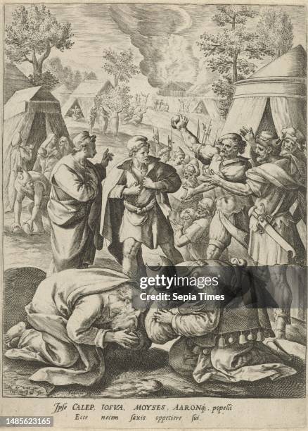 Moses and Aaron throw themselves to the ground while Joshua and Caleb tear their clothes. They told the people that they had to trust in God on which...