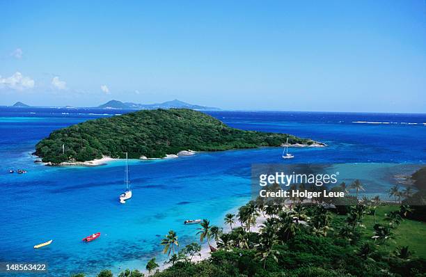 overhead of tobago cays seen from petit rameau. - grenadine stock pictures, royalty-free photos & images