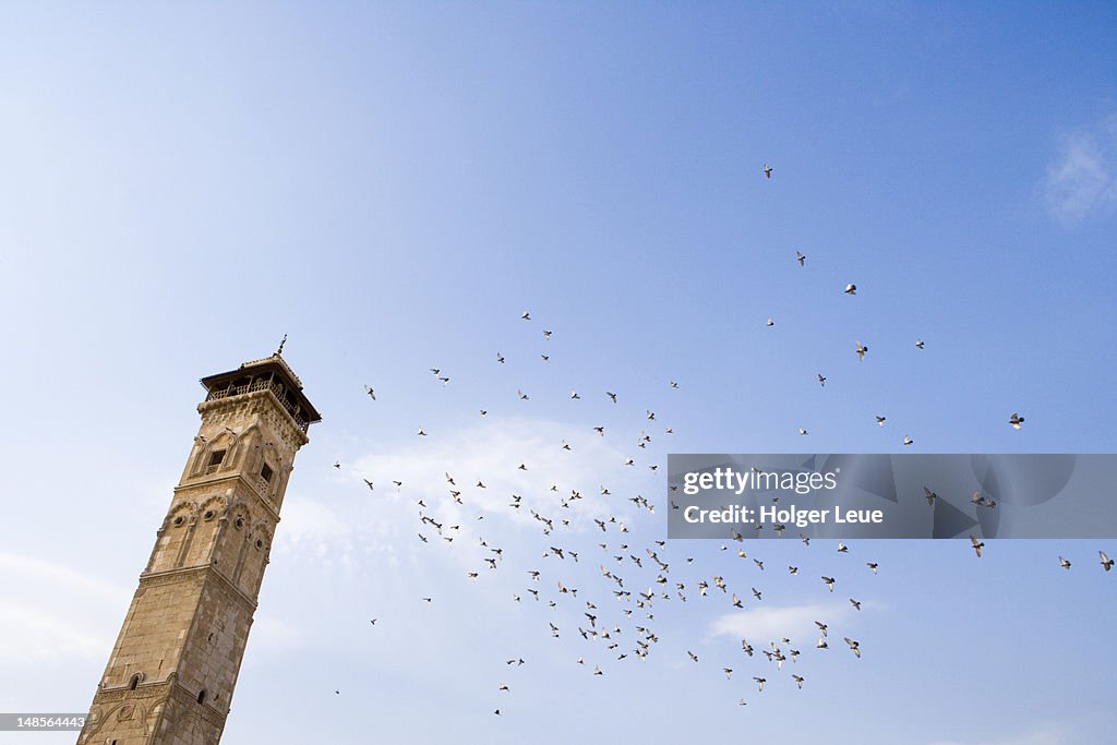 Low angle view of Great Mosque minaret and flock of birds.