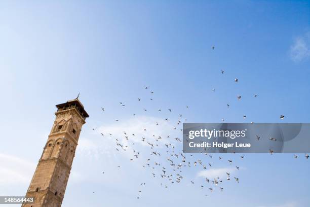 low angle view of great mosque minaret and flock of birds. - aleppo stock pictures, royalty-free photos & images