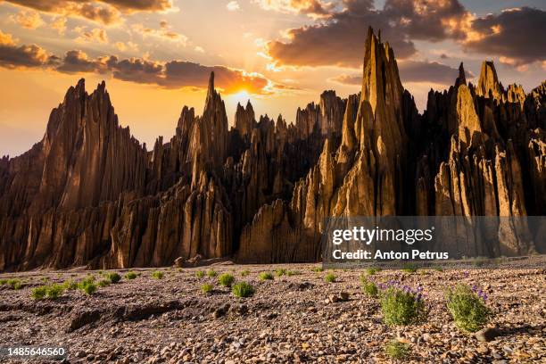 valle de las animas (valley of spirits) at sunset. la paz, bolivia - 山脊 個照片及圖片檔