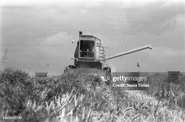 Harvesting of rapeseed in Southern Flevoland, July 25 COOL SEED, OOGSTEN.