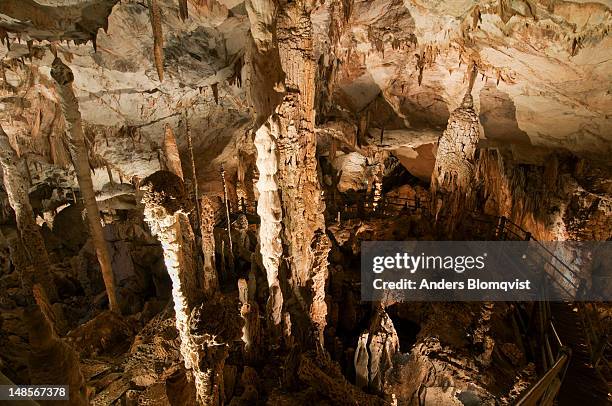stalagtites and stalagmites in king's chamber in wind cave. - gunung mulu national park stock pictures, royalty-free photos & images