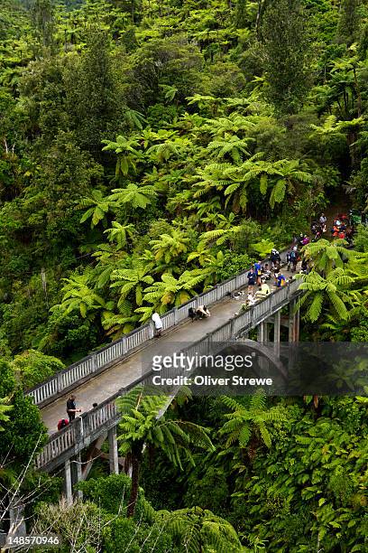 the bridge to nowhere, from moran's lookout, up the whanganui river. - whanganui stock pictures, royalty-free photos & images