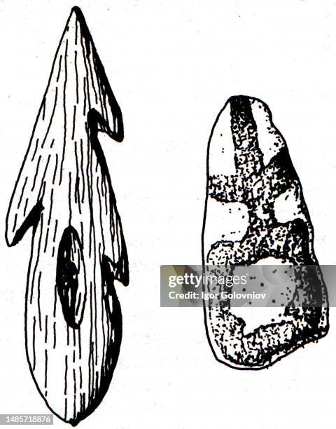 Azilian Pebble Painting Photos and Premium High Res Pictures - Getty Images