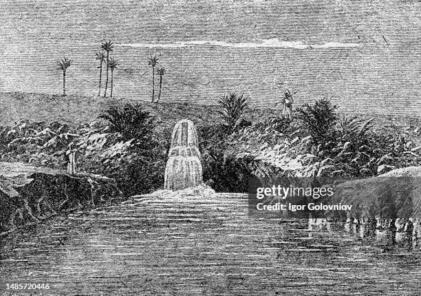 Artesian spring in Algeria, the water from a fountain beats - an illustration from the book 'Starting course of Geography', Moscow, 1926.