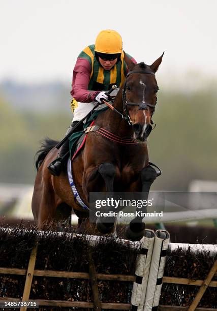 Scene One ridden by Bryony Frost leads leads over the final hurdle and runs on to win the Coop And Alis 40th Birthday Celebration Maiden Hurdle at...