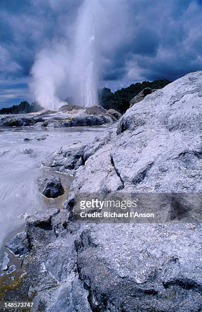 thermal landscape & pohutu geyser at te whakarewarewa thermal reserve & maori cultural area. - géiser pohutu imagens e fotografias de stock