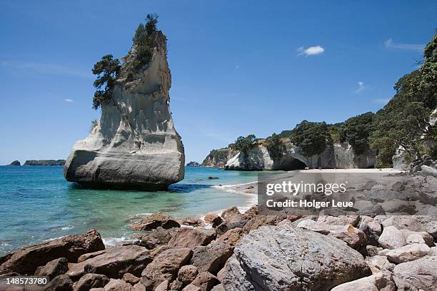 cathedral cove. - halbinsel coromandel peninsula stock-fotos und bilder