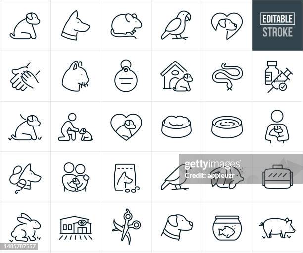 ilustrações de stock, clip art, desenhos animados e ícones de pets thin line icons - editable stroke - fish love
