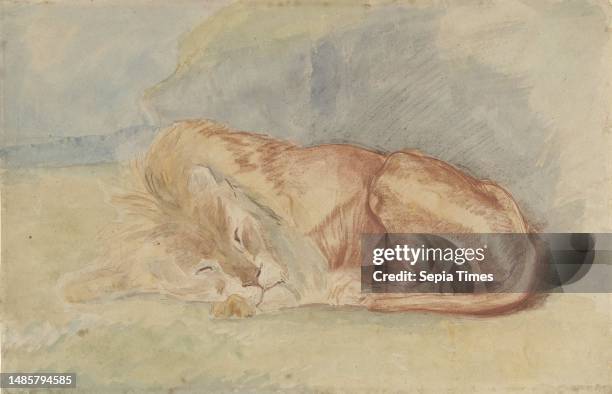 Sleeping lion, draughtsman: Charles Edmé Saint-Marcel-Cabin, 1829 - 1890, paper, brush, h 298 mm × w 463 mm.