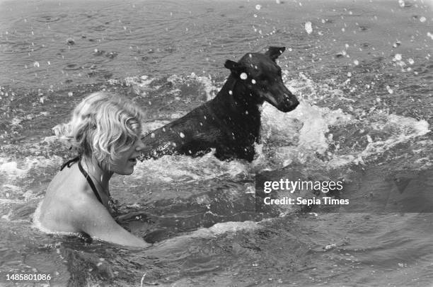 Heat wave, man and animal in water, June 25 heat wave.