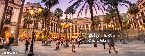 plaça reial square panorama in barri gotic off la rambla in barcelona catalonia spain - barcelona cafe stock pictures, royalty-free photos & images