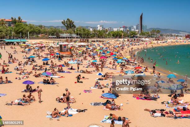 una multitud de personas se broncean en la arena de la orilla del mar de la playa de la barceloneta en barcelona españa - beach sunbathing spain fotografías e imágenes de stock