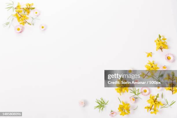 spring frame of small flowers and daisy,floral arrangement - easter flowers stock pictures, royalty-free photos & images