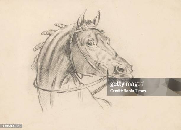 Head of a horse, to the right, draughtsman: Dirk Arnoldus Tavenraat, Carle Vernet, 15-Apr-1826, paper, h 245 mm × w 342 mm.