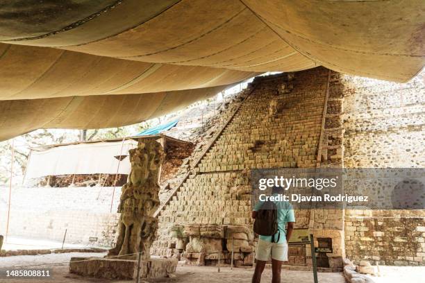 man visiting the mayan pyramids and temples in the archaeological park of copan ruinas, honduras. - the cemetery for foreigners stock pictures, royalty-free photos & images