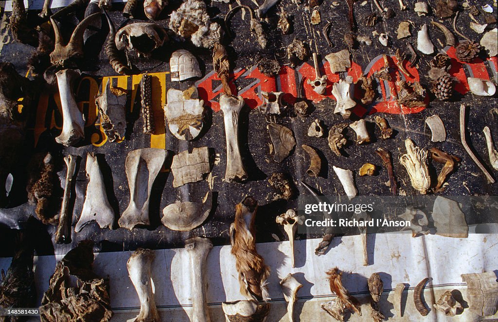 Various animal pieces for sale at a Herbalist's stall at a street market