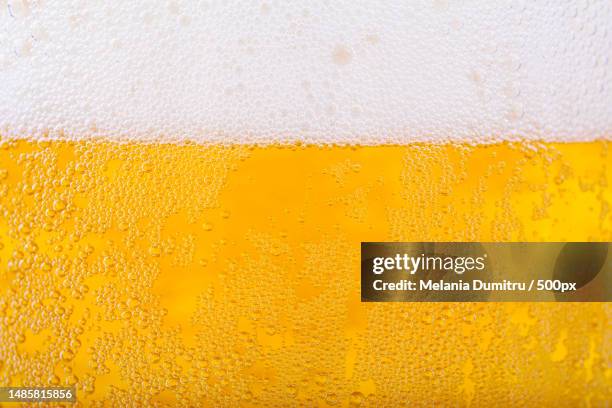 full frame shot of beer,romania - beer white background stock pictures, royalty-free photos & images