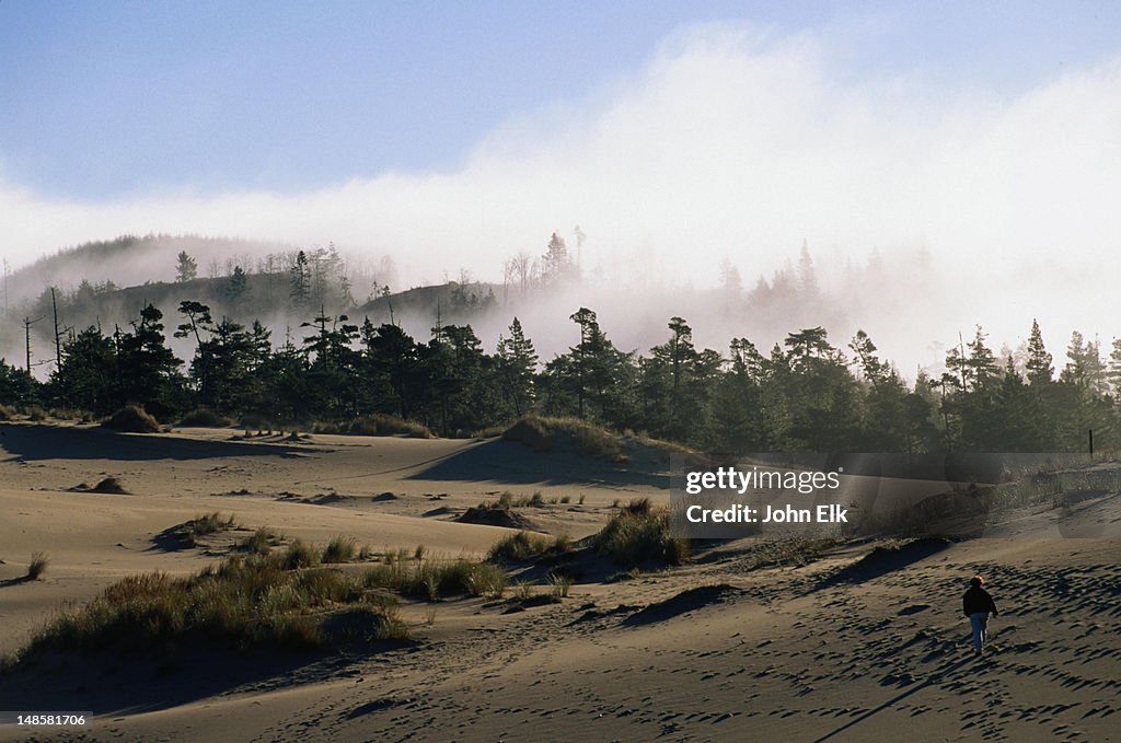 Umpqua Dunes - Oregon