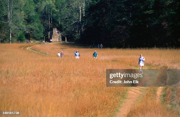 john oliver place ( 1820's ) cades cove - smoky mountains national park, tennessee - cades stock pictures, royalty-free photos & images