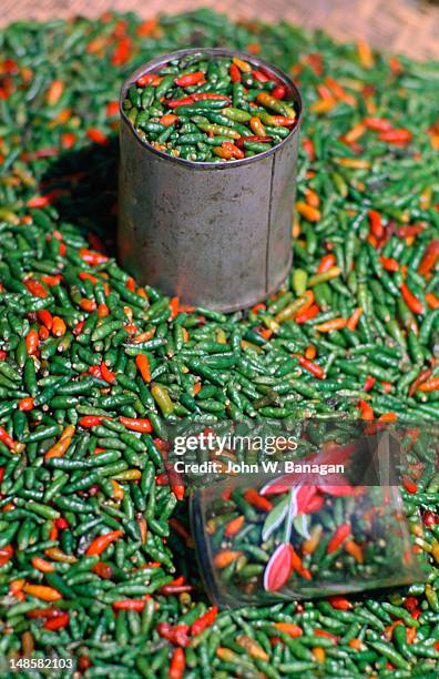dried chillies for sale at a dili market. - dili stock-fotos und bilder