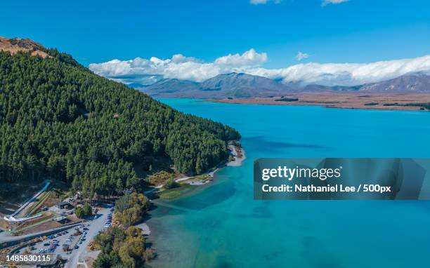 a great view of lake tekapo,canterbury,new zealand - new zealand forest stock pictures, royalty-free photos & images