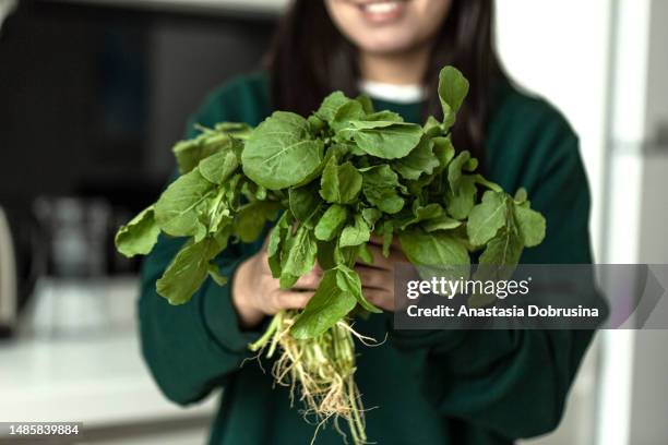 gros plan des mains de femme tenant un bouquet de roquette - roquette photos et images de collection