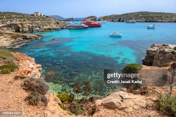 the blue lagoon on comino island, malta gozo. - azure window malta stock pictures, royalty-free photos & images