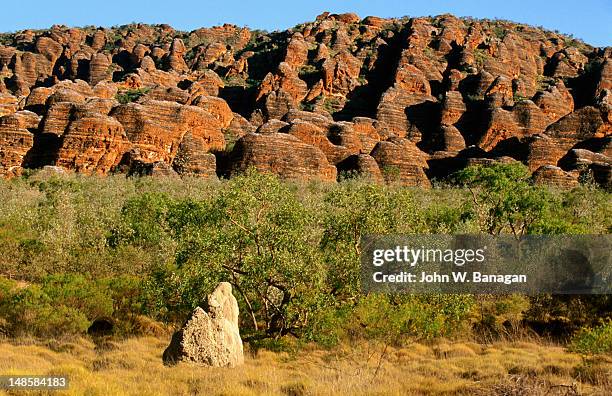 termite mound with bungle bungles in background. - bungle bungle range stock pictures, royalty-free photos & images