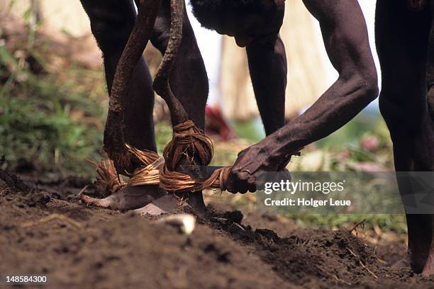 Naghol Ritual 20 Penama Stock Photos, High-Res Pictures, and Images - Getty Images