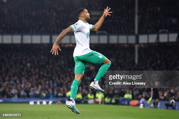 Callum Wilson of Newcastle United celebrates after scoring the team's third goal during the Premier League match between Everton FC and Newcastle...