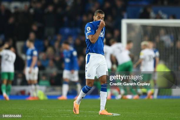 Dominic Calvert-Lewin of Everton looks dejected after Jacob Murphy of Newcastle United scores the team's fourth goal during the Premier League match...