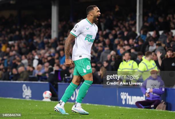 Callum Wilson of Newcastle United celebrates after scoring the team's third goal during the Premier League match between Everton FC and Newcastle...