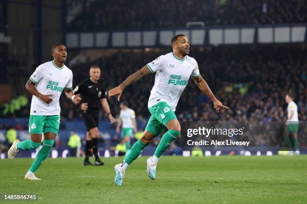 Callum Wilson of Newcastle United celebrates after scoring the team's third goal during the Premier League match between Everton FC and Newcastle...