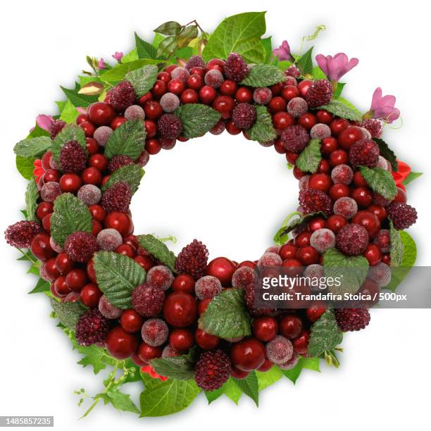 a wreath of berries isolated on a white background - cranberry heart stock-fotos und bilder